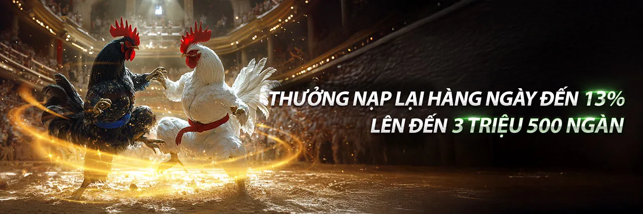 Khuyến Mãi Hấp Dẫn DN88 Đăng Nhập