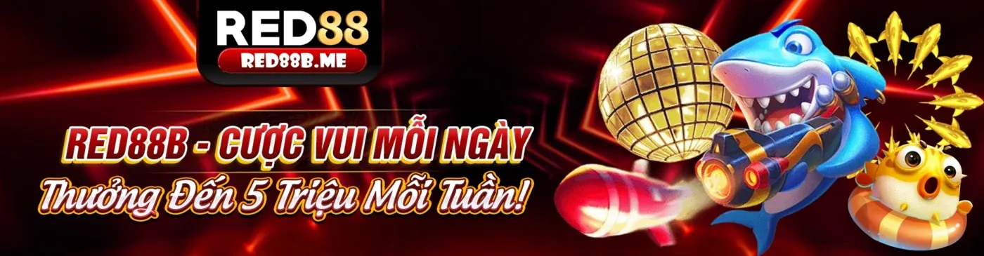 Hình ảnh đại diện cho Điều khoản và Điều kiện của dn88 đăng nhập